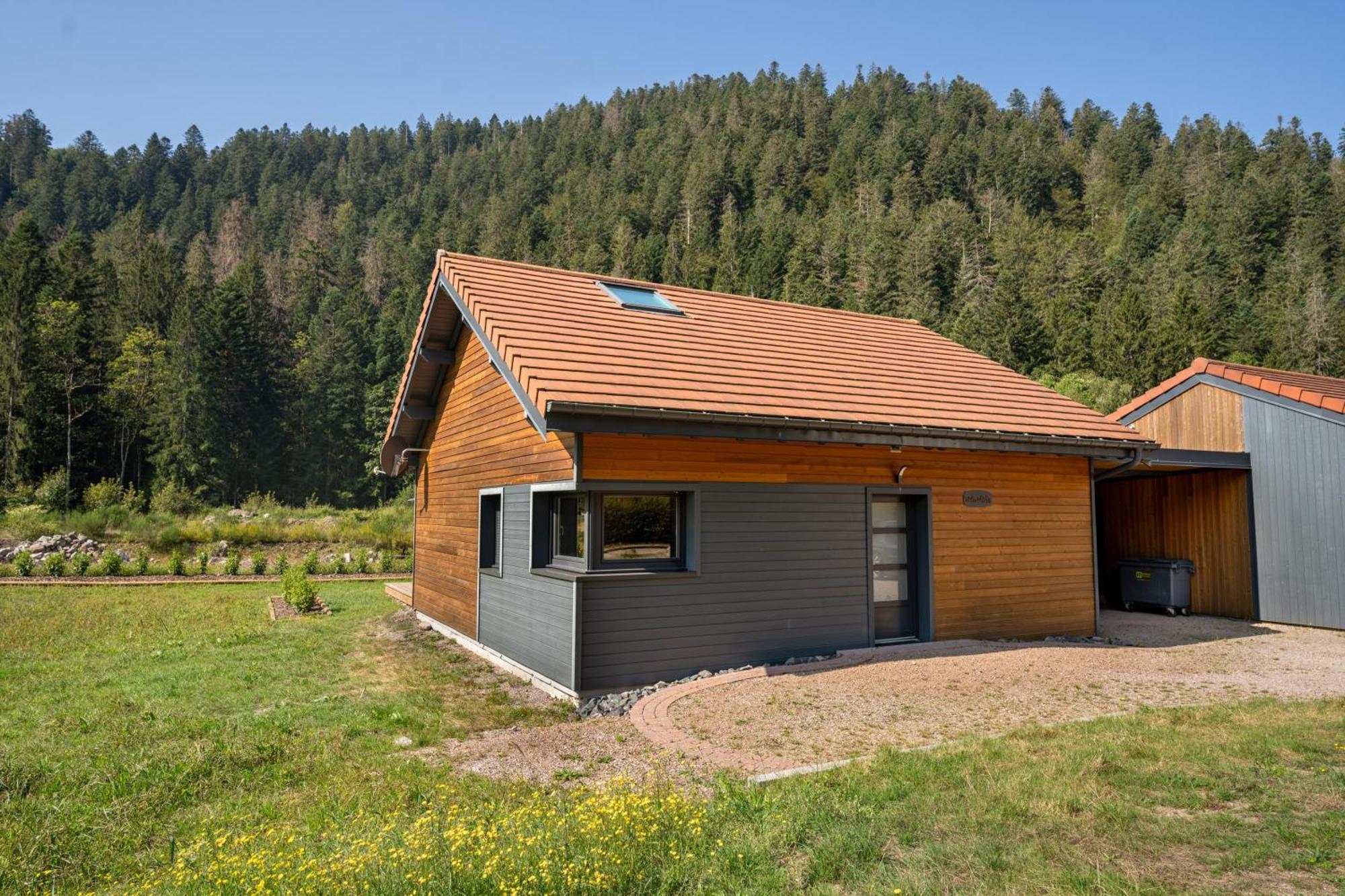 Chalet Nemesia Avec Spa A Gérardmer Exteriér fotografie